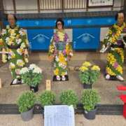 ヒメ日記 2025/11/14 07:54 投稿 藤沢★ Club夢