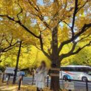 ヒメ日記 2025/11/18 08:50 投稿 藤沢★ Club夢