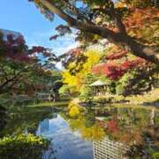 ヒメ日記 2025/11/28 08:36 投稿 藤沢★ Club夢