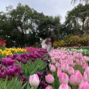 ヒメ日記 2026/01/09 08:24 投稿 藤沢★ Club夢