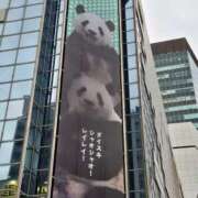 ヒメ日記 2026/01/27 08:16 投稿 藤沢★ Club夢