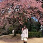 ヒメ日記 2026/02/20 08:16 投稿 藤沢★ Club夢