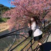 ヒメ日記 2026/02/28 07:25 投稿 藤沢★ Club夢