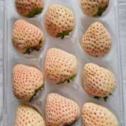 ヒメ日記 2026/03/17 07:18 投稿 藤沢★ Club夢