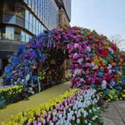 ヒメ日記 2026/03/18 08:10 投稿 藤沢★ Club夢