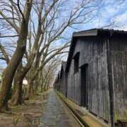 ヒメ日記 2026/03/19 16:25 投稿 藤沢★ Club夢