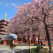 ヒメ日記 2026/03/30 08:02 投稿 藤沢★ Club夢