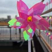 ヒメ日記 2026/04/01 21:28 投稿 藤沢★ Club夢