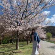 ヒメ日記 2026/04/11 08:12 投稿 藤沢★ Club夢