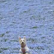 ヒメ日記 2026/04/25 08:12 投稿 藤沢★ Club夢