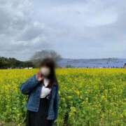 藤沢★ ネモフィラとの競演 Club夢