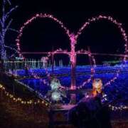 ヒメ日記 2024/12/14 08:59 投稿 夏樹★ Club夢