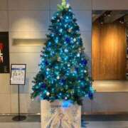 ヒメ日記 2024/12/13 19:10 投稿 未来★ Club夢