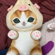 ヒメ日記 2024/12/14 11:40 投稿 未来★ Club夢