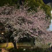 ヒメ日記 2025/03/10 19:52 投稿 未来★ Club夢