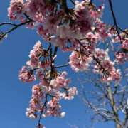 ヒメ日記 2026/03/12 15:22 投稿 未来★ Club夢