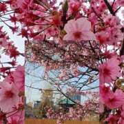 ヒメ日記 2025/03/02 21:45 投稿 天野 Club夢