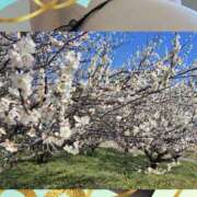 ヒメ日記 2025/03/10 08:30 投稿 天野 Club夢