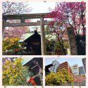 ヒメ日記 2025/03/13 12:40 投稿 天野 Club夢