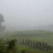 ヒメ日記 2025/05/11 07:21 投稿 天野 Club夢