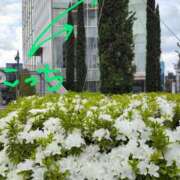 ヒメ日記 2025/05/18 16:38 投稿 天野 Club夢