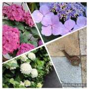 ヒメ日記 2025/06/05 15:12 投稿 天野 Club夢