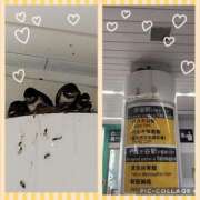 ヒメ日記 2025/07/13 17:19 投稿 天野 Club夢