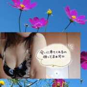 ヒメ日記 2025/10/10 09:01 投稿 天野 Club夢