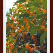 ヒメ日記 2025/10/23 13:35 投稿 天野 Club夢