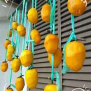 ヒメ日記 2025/11/11 17:54 投稿 天野 Club夢