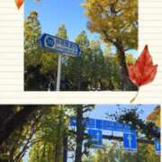 ヒメ日記 2025/11/17 14:02 投稿 天野 Club夢