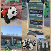 ヒメ日記 2025/12/18 21:25 投稿 天野 Club夢