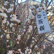 ヒメ日記 2026/02/05 15:36 投稿 天野 Club夢