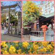 ヒメ日記 2026/03/17 18:11 投稿 天野 Club夢