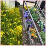 ヒメ日記 2026/03/22 21:12 投稿 天野 Club夢