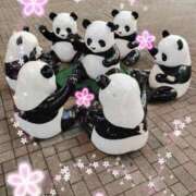 ヒメ日記 2026/03/31 15:44 投稿 天野 Club夢