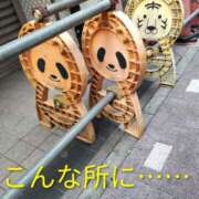 ヒメ日記 2026/04/17 15:55 投稿 天野 Club夢