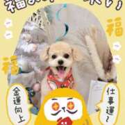 ヒメ日記 2025/01/04 09:48 投稿 まみ★ Club夢