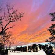 ヒメ日記 2025/11/02 18:59 投稿 まみ★ Club夢