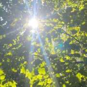 まみ★ 今後の出勤について Club夢