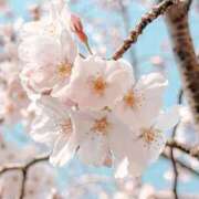 ヒメ日記 2025/04/03 06:00 投稿 槙原★ Club夢