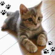 ヒメ日記 2025/05/12 06:00 投稿 槙原★ Club夢