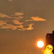 ヒメ日記 2025/07/10 06:00 投稿 槙原★ Club夢