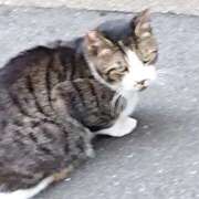 ヒメ日記 2025/07/12 06:01 投稿 槙原★ Club夢