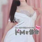 ヒメ日記 2025/12/08 11:40 投稿 春川　あやめ 現役ナースが精液採取に伺います 梅田店