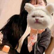 ヒメ日記 2025/12/24 16:25 投稿 春川　あやめ 現役ナースが精液採取に伺います 梅田店