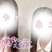 ヒメ日記 2026/01/22 18:25 投稿 春川　あやめ 現役ナースが精液採取に伺います 梅田店