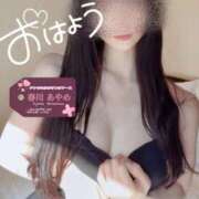 ヒメ日記 2026/02/01 07:45 投稿 春川　あやめ 現役ナースが精液採取に伺います 梅田店