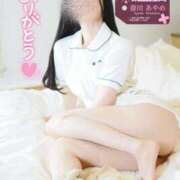 ヒメ日記 2026/03/26 22:15 投稿 春川　あやめ 現役ナースが精液採取に伺います 梅田店