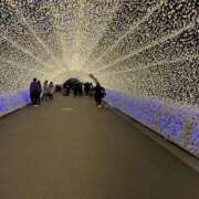 ヒメ日記 2025/03/14 16:29 投稿 りんご アネックスジャパン